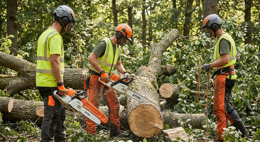 Stihl chainsaws for professional tree crews