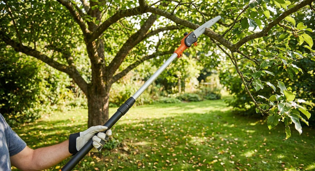 Pole saws for tree trimming without a ladder