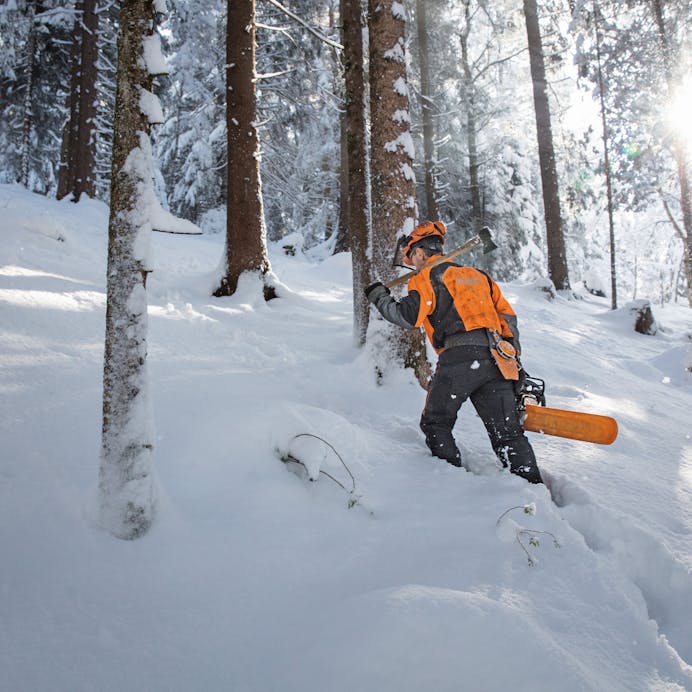 18640822-155f-4dee-6c21-08dda75995fa